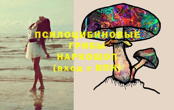 таблы Алексеевка