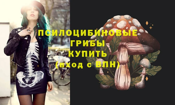 ПСИЛОЦИБИНОВЫЕ ГРИБЫ Алексин