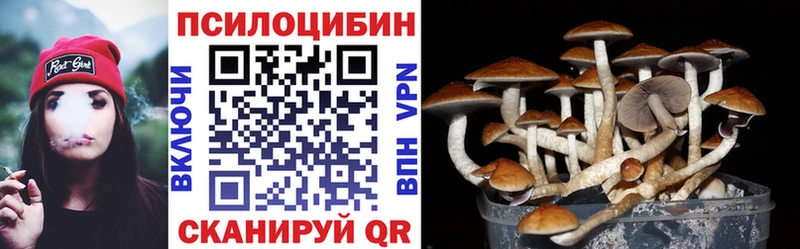 мега ONION  Елабуга  Галлюциногенные грибы Psilocybine cubensis 